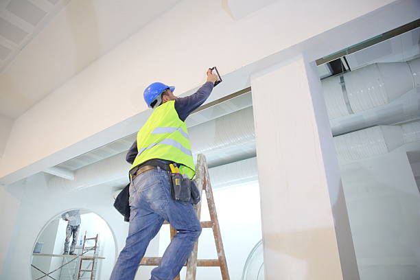 Best Commercial Painting  in Janesville, IA